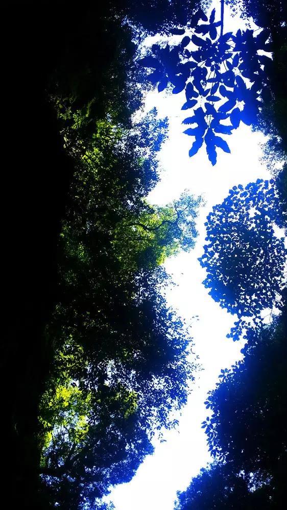 戳泡泡练口算